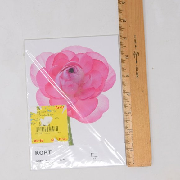 IKEA Kort Art Cards 5x7" Flora Set of 5 Floral Flowers Gallery Prints Retired - Picture 4 of 15